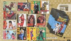 ストリートファイターII PPカード アマダ カードダス13枚まとめ売り☆