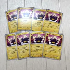 ＊バチンウニ８枚