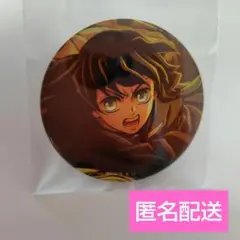 劇場版 鬼滅の刃 無限城編 第一章 　キービジュアル 缶バッジB　時透無一郎