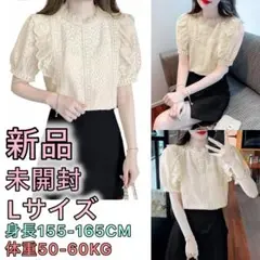 House Yayoi ブラウス　Lサイズ シフォンシャツディース　スーツ通勤