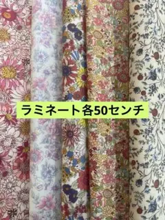 ⭐️大処分祭Eセット　ラミネート生地　選べません　同封不可
