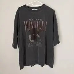 WEGO ピグメントグラフィックTシャツ ダークグレー　Mサイズ