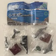 ネイチャーテクニカルカラー 小笠原特装版 2種セット ガチャ ③