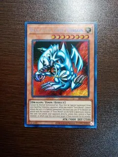 遊戯王　EU版　ブルーアイズトゥーンドラゴン　シークレット 遊戯王 ブルーアイズ・トゥーン・ドラゴン/シークレット/英語/EU版
