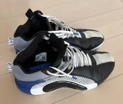 AIR JORDAN35 fragment 28.0