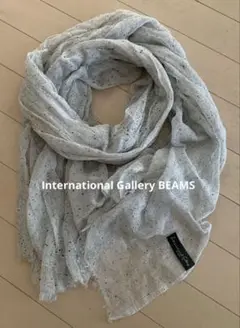International Gallery BEAMS コットン　ストール