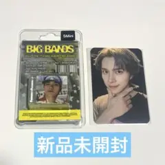 威神V WayV BIG BANDS SMini CD ヘンドリー トレカ