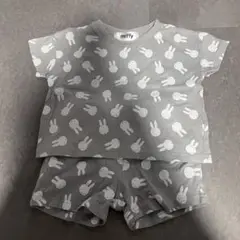 ミッフィー セットアップ