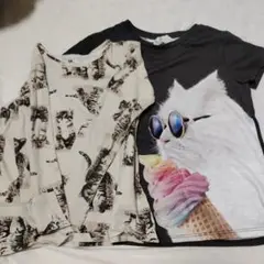 H＆M キッズ 半袖tシャツ 長袖tシャツ 猫 2枚セット