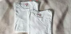 ヘインズ Tシャツ Japan Fit 2枚セット メンズ M
