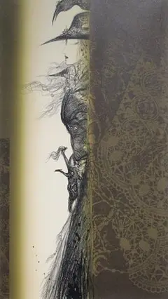 美品 天野喜孝「幽月」大判リトグラフ 直筆サイン・作品保証書有 額縁入 FF 美品 天野喜孝「幽月」大判リトグラフ 直筆サイン・作品保証書有