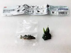 未使用　ユージン　原色淡水魚図鑑Ⅰ　イトヨ　フィギュア