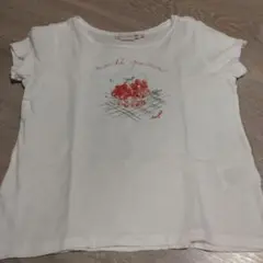 Bonpoint Ｔシャツ(チェリー) ロゴ刺繍 6A
