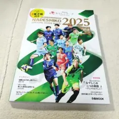 横浜FCシーガルズ　吉田凪沙　なでしこリーグ150試合記念ペナント直筆サイン入り ニッパツ横浜FCシーガルズ | 公式ホームページ