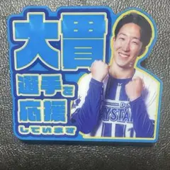 横浜DeNAベイスターズ Bluemates限定 アクリルバッジ 大貫晋一選手