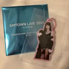 SM TOWN ミニアクリルキーホルダー　カリナ