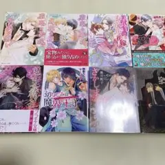 BL小説 8冊 まとめ売り