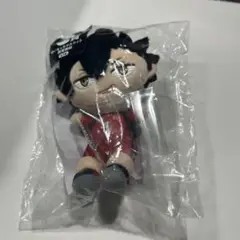 黒尾鉄朗 ぬいぐるみ・マスコット C賞
