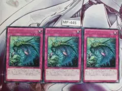 【遊戯王】バージェストマ・マーレラ　字レア3枚 MF-445