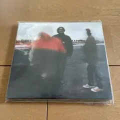 【LP】【レア】Yo La Tengo Summer Sun 500枚限定盤 Yo La Tengo / Summer Sun（500 Ltd 2LP） | to'morrow records