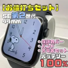 【お値打ちセット】BT100％ SE2 44mm カバー＋バンド＋充電器