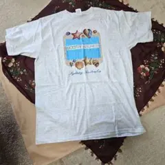 ビッグTシャツ　海外サイズでL　MAID IN HONDURAS