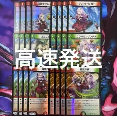 赤緑 サロメ　R以下4コン　壱百満天原サロメ R以下4コン フルホイル 24枚