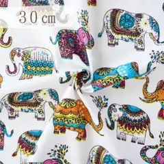 A211. インド買付｜ブロックプリント生地（綿100％・30cmカット）