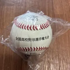 107回全国高校野球選手権大会公式ボール 未開封試合球
