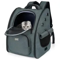 Item thumbnail for item 7fee820e-5ebb-474e-8b6d-6ae54d198209