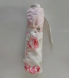 Item thumbnail for item 35033485-8dd4-471e-97e4-c4fcc89e9fa0