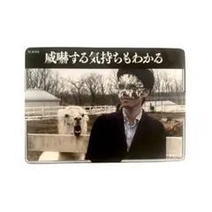 匿名ラジオ トレカ TC-019 N ダ・ヴィンチ・恐山