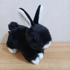 TAKE OFF　黒ねこ　ぬいぐるみ