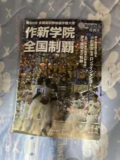 第98回全国高校野球選手権大会記念冊子 作新学院 優勝 下野新聞 今井達也