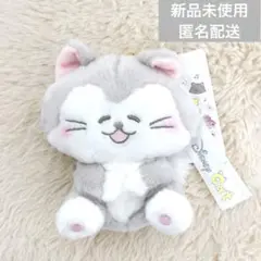 フィガロ ぬいぐるみキーチェーン えちがわのりゆき　猫の日 ディズニーストア