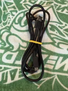 任天堂Switch 純正品　Type-Cケーブル