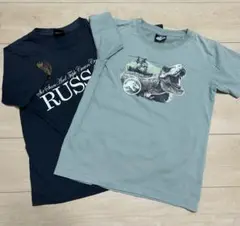 キッズ　Tシャツ　150㎝　2枚組　セット　記名なし　半袖　おまとめ　恐竜