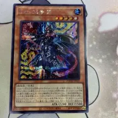 K9-04号咒　アジアシークレット