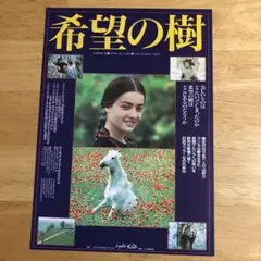 テンギズアブラゼ 懺悔 レンタル落ち テンギズアブラゼ 懺悔 レンタル落ち