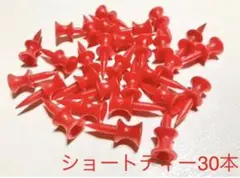 ショートティー30個
