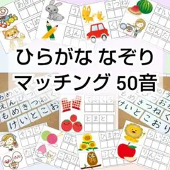 ひらがな 視覚支援 モンテッソーリ 1年 知育玩具 特別支援 小学校受験 療育