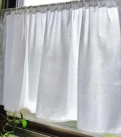 Item thumbnail for item 0c52f5e6-bb66-4d98-b21b-e26e545cd67f