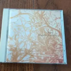 Ryuichi Kawamura Love CD