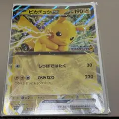 ポケモンスタンプラリー　ピカチュウ ex
