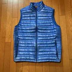 Patagoniaメンズダウンベスト