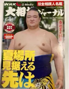 大相撲ジャーナル　平成28年6月号