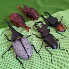 昆虫フィギュア　カブトムシ　クワガタ　ガチャ/カプセルトイ　一番クジ