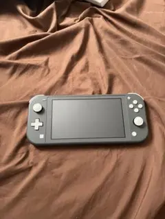 Nintendo Switch Lite グレー 本体