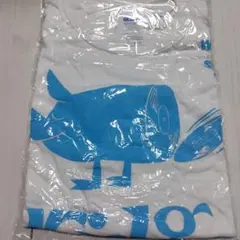 BRIDGE　再結成時のTシャツ　カジヒデキ