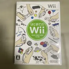 はじめてのwii wii